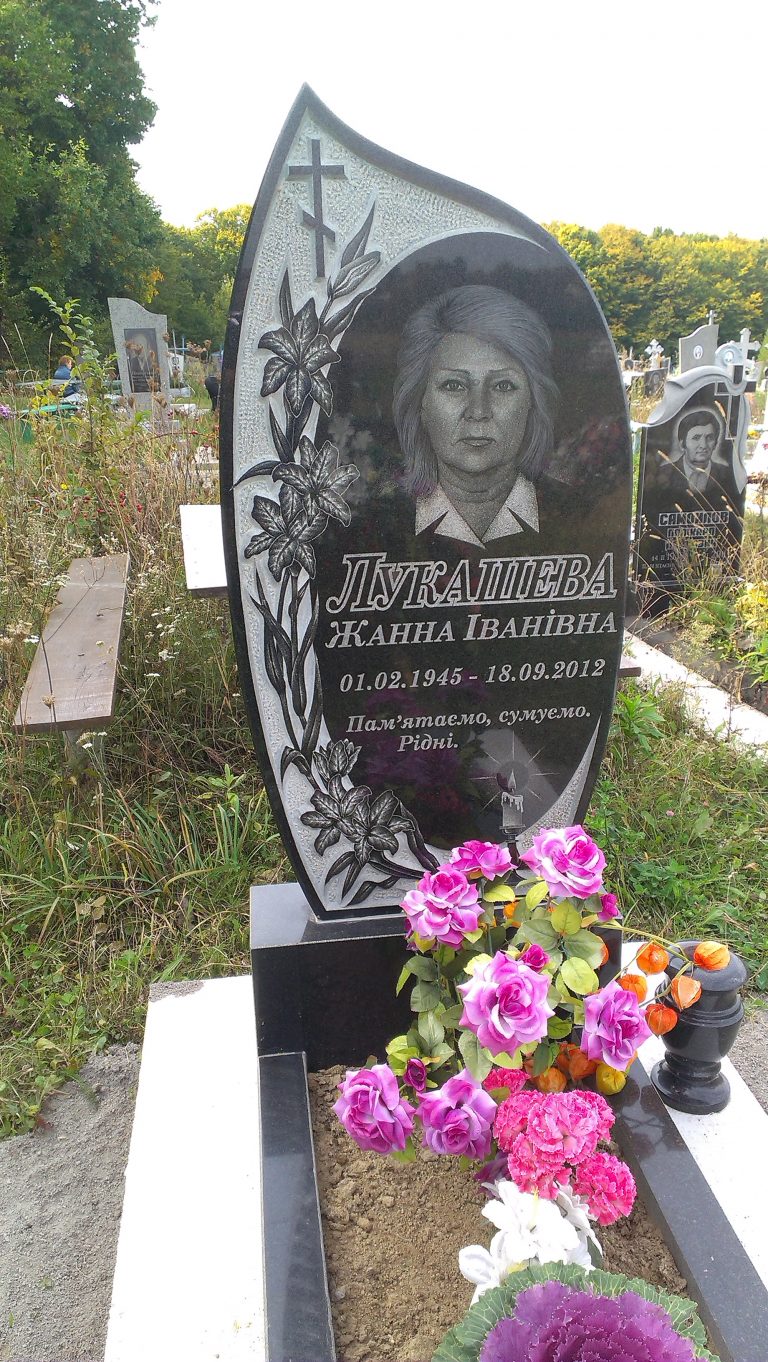 IMAG0229